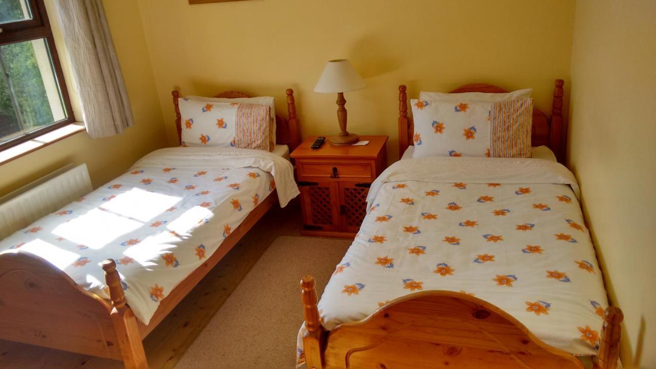 Grannagh Castle House Bed & Breakfast Уотърфорд Екстериор снимка
