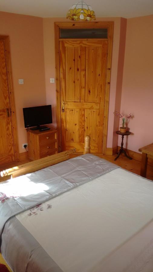 Grannagh Castle House Bed & Breakfast Уотърфорд Екстериор снимка
