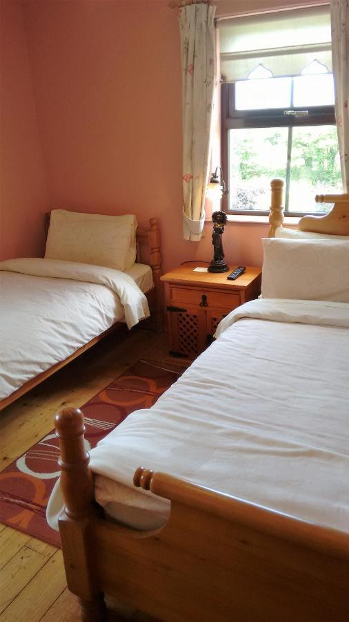 Grannagh Castle House Bed & Breakfast Уотърфорд Екстериор снимка