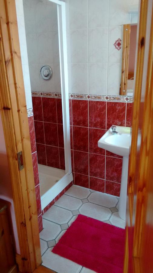 Grannagh Castle House Bed & Breakfast Уотърфорд Екстериор снимка
