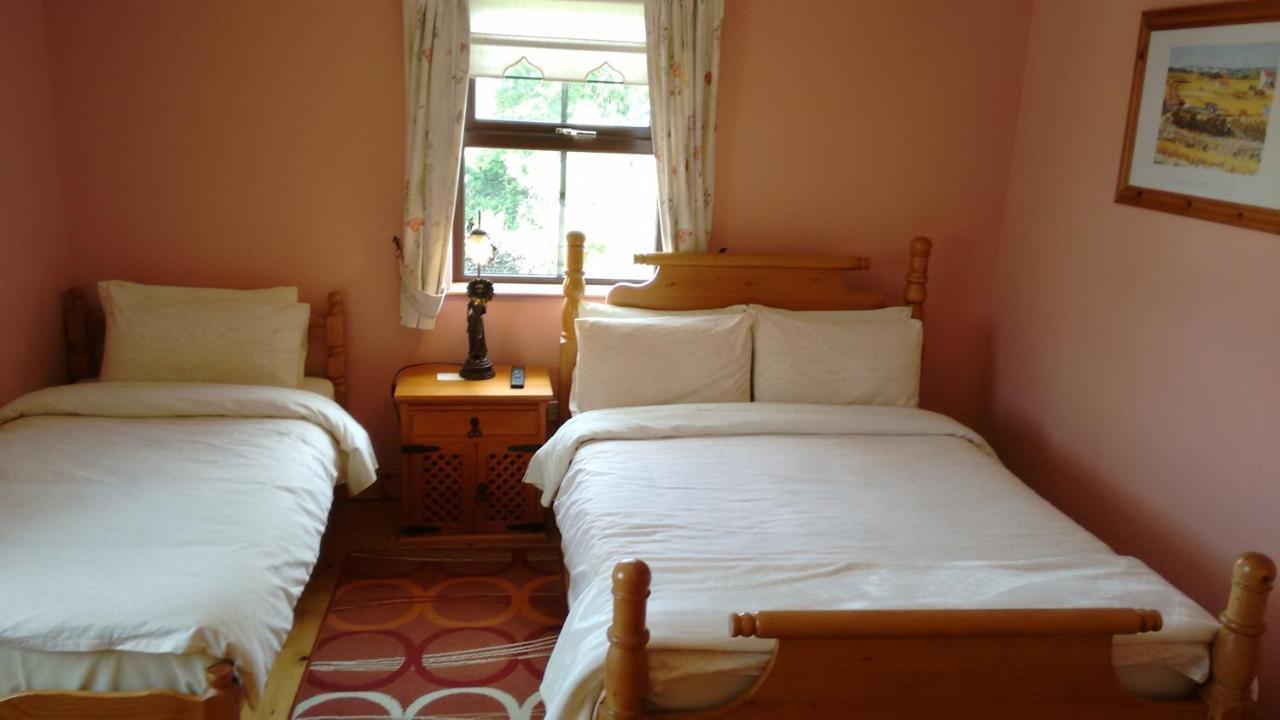 Grannagh Castle House Bed & Breakfast Уотърфорд Екстериор снимка