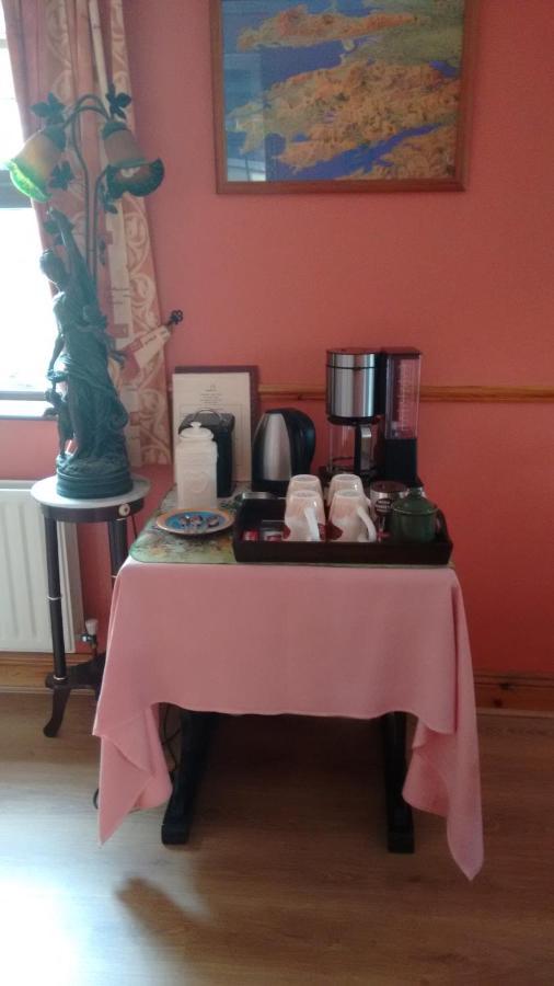 Grannagh Castle House Bed & Breakfast Уотърфорд Екстериор снимка